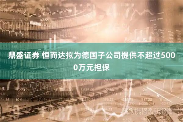 鼎盛证券 恒而达拟为德国子公司提供不超过5000万元担保