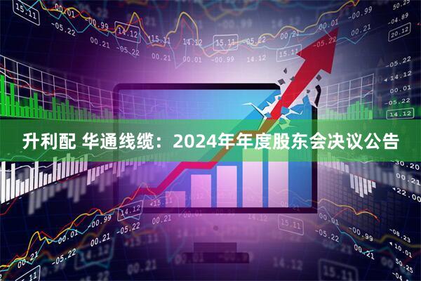 升利配 华通线缆：2024年年度股东会决议公告