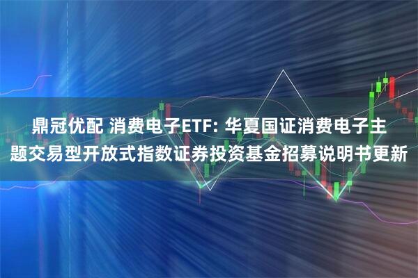 鼎冠优配 消费电子ETF: 华夏国证消费电子主题交易型开放式指数证券投资基金招募说明书更新