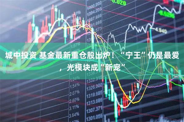 城中投资 基金最新重仓股出炉！“宁王”仍是最爱，光模块成“新宠”